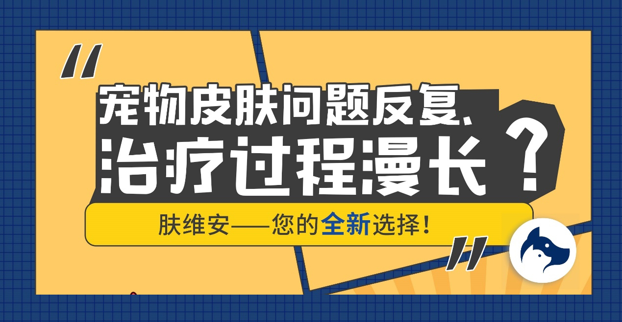 单月装机破百