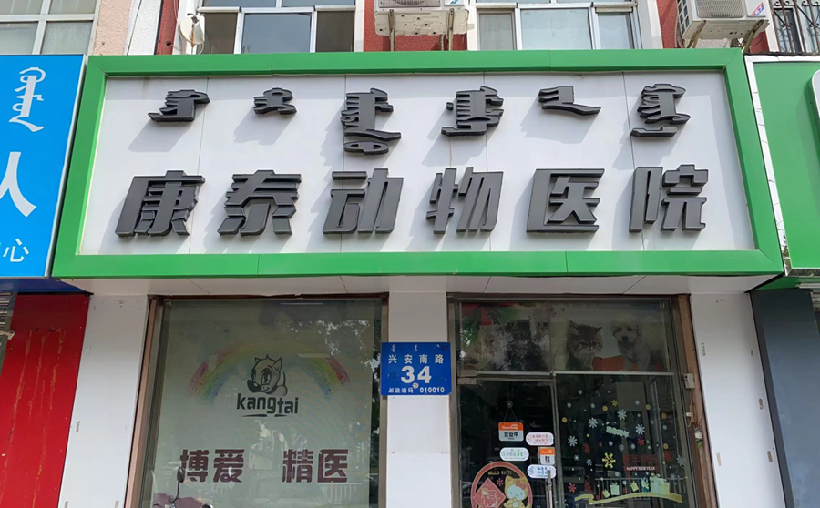 病例分享——小泰迪顽固脓皮症+真菌感染