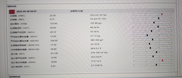 病例分享一例猫车祸导致的大外伤