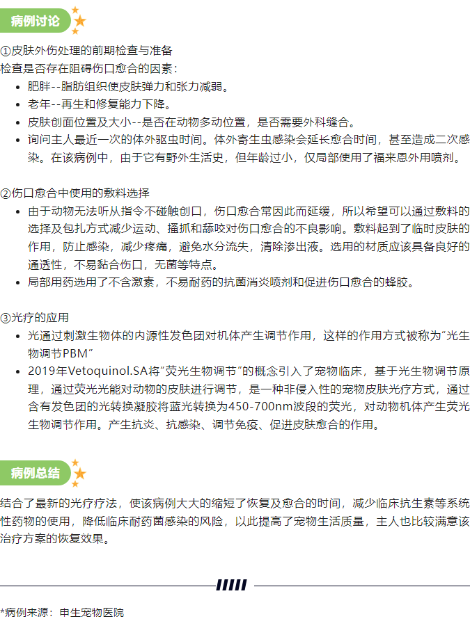 一例猫耳部化脓性创伤管理病例_4