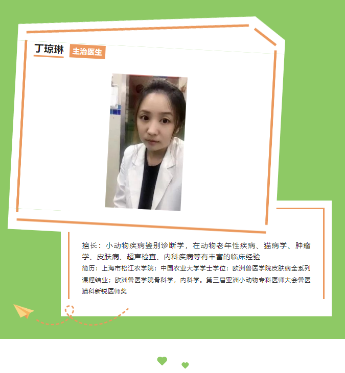 一例猫耳部化脓性创伤管理病例_5