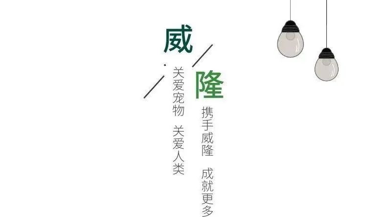 爱采日|教你正确呵护爱宠的耳朵