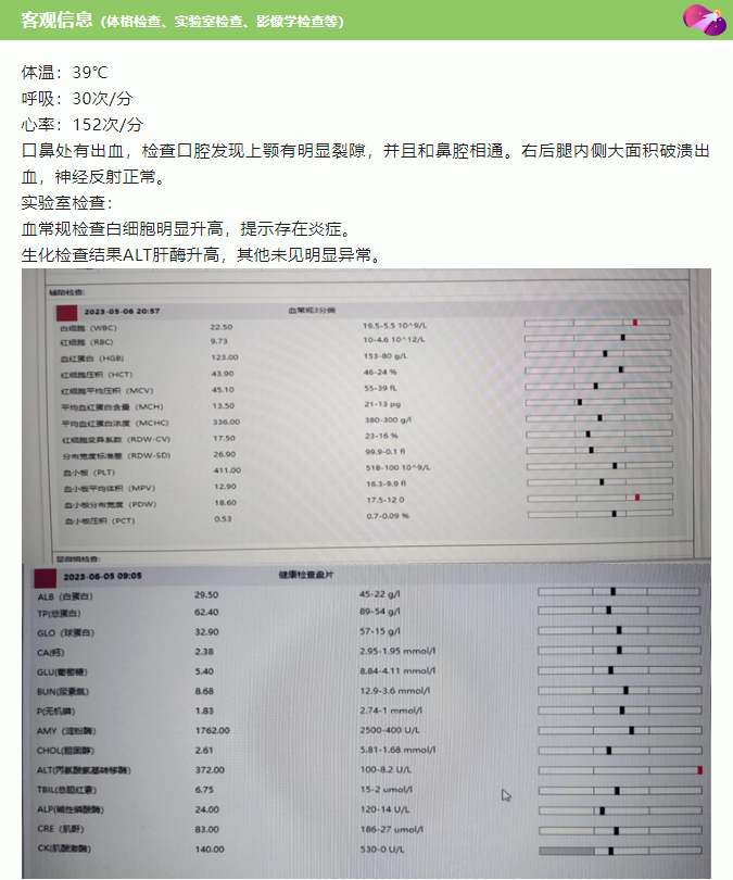 病例分享一例猫车祸导致的大外伤_2