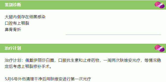 病例分享一例猫车祸导致的大外伤_4