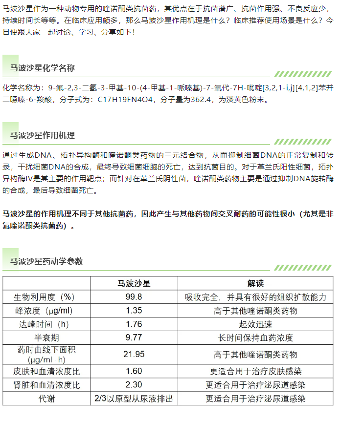 马波沙星的作用机理及临床应用01