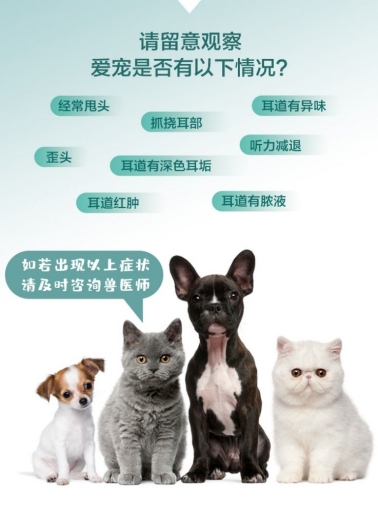 爱采日|教你正确呵护爱宠的耳朵