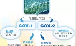 浅谈非甾体类抗炎药